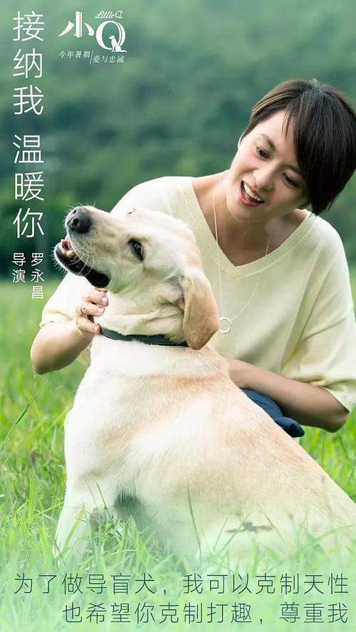 怎么做假波兰身份证假